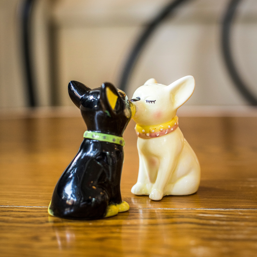 Chihuahua Salt & Pepper Shaker Set – Shop The Standard