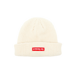 Load image into Gallery viewer, The Standard Logo Beanie - Shop The Standard
