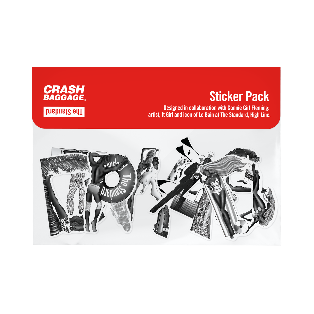 Crash Baggage x The Standard, Carry On