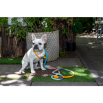 Load image into Gallery viewer, Resort Inspired Ombre Cotton Rope Dog Leash - Shop The Standard
