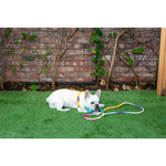 Load image into Gallery viewer, Resort Inspired Ombre Cotton Rope Dog Leash - Shop The Standard

