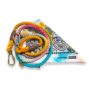 Resort Inspired Ombre Cotton Rope Dog Leash - Shop The Standard