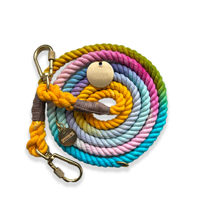 Resort Inspired Ombre Cotton Rope Dog Leash - Shop The Standard