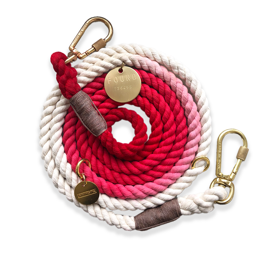 Standard Red Ombre Cotton Rope Dog Leash – Shop The Standard