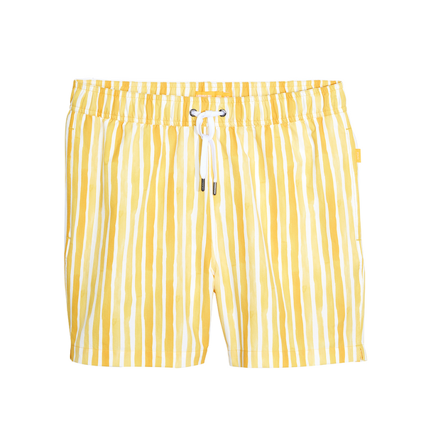 Onia Charles 5 Short Resort Striped Shop The Standard
